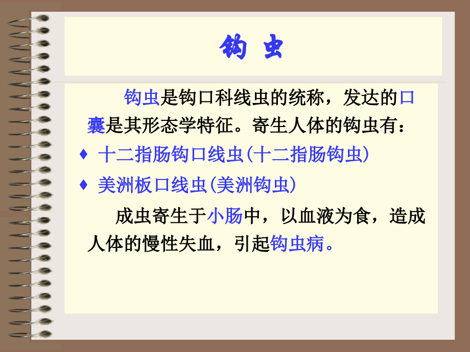 第五节-钩虫1.ppt_第1页