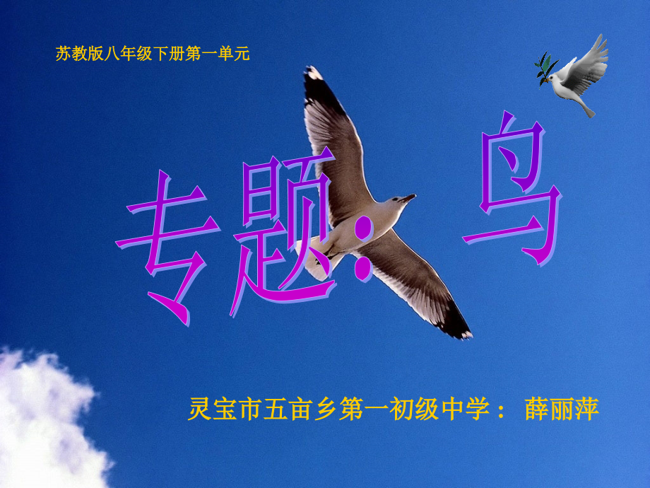 专题：鸟.ppt_第1页