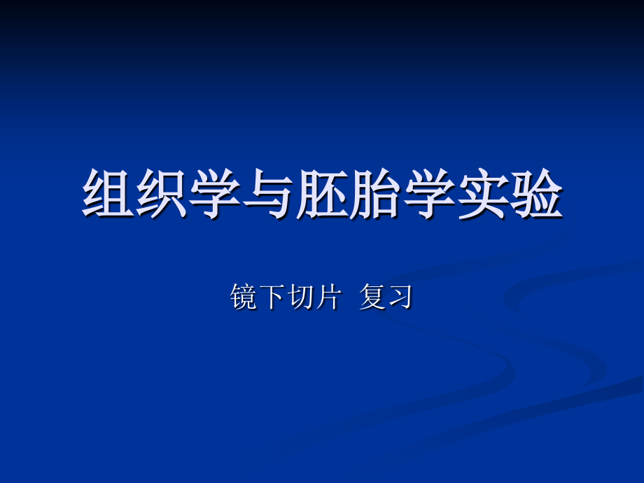 组织学与胚胎学实验镜下图片复习集.ppt_第1页