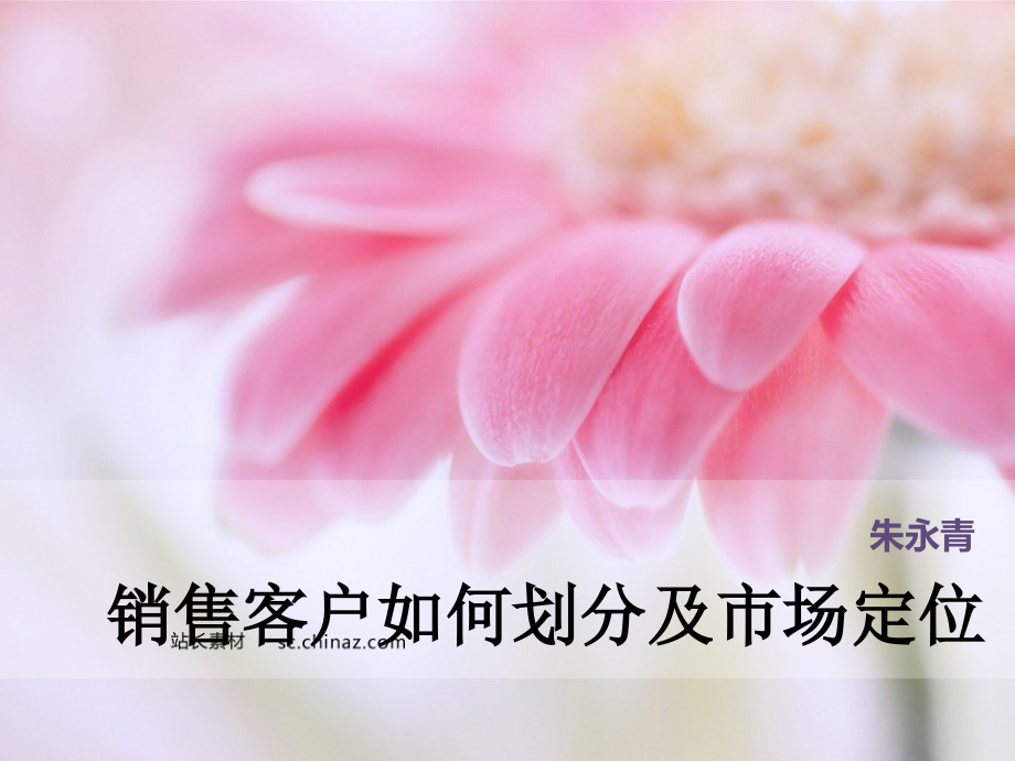 销售客户如何划分及市场定位.ppt_第1页