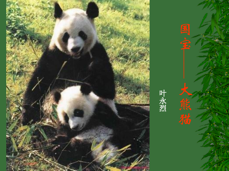 语文：4[1].17国宝大熊猫课件(苏教版七年级下).ppt_第1页