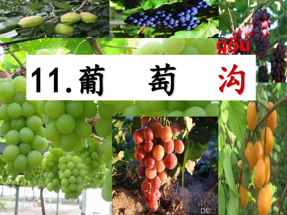 葡萄沟-公开课课件.ppt_第2页
