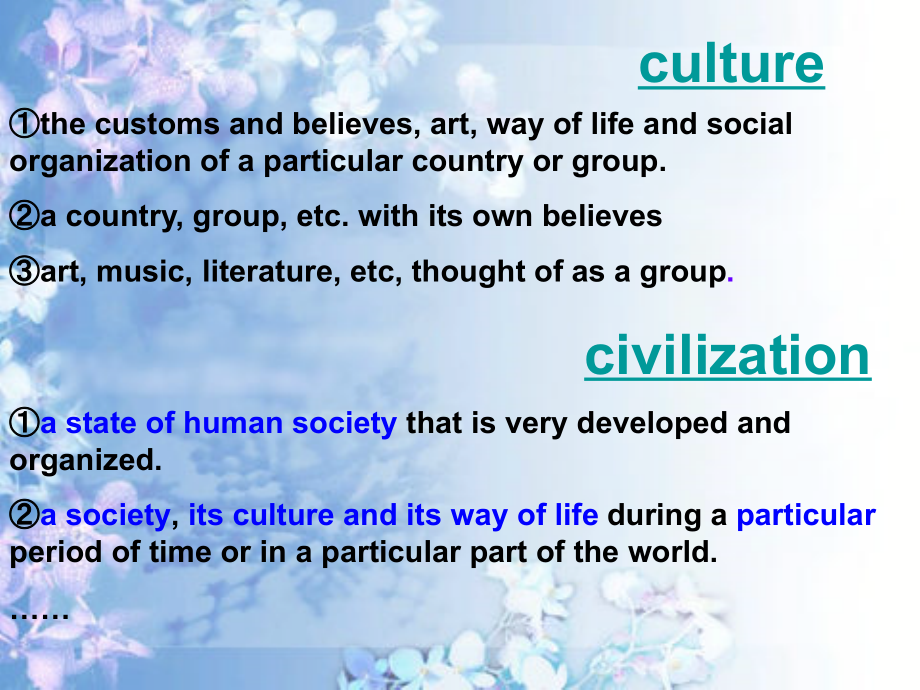 文化与文明比较.ppt_第2页