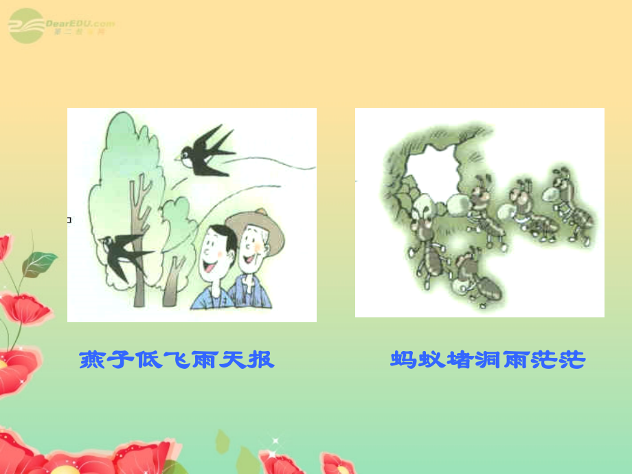 八年级科学上册《环境对生物行为的影响》课件1-浙教版.ppt_第2页