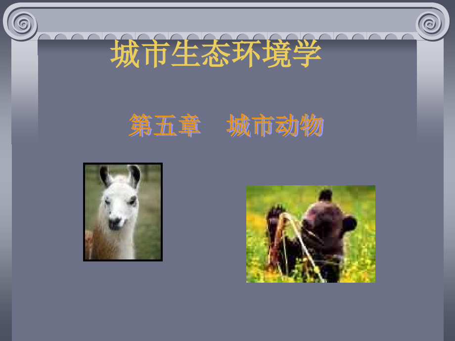 城市生态环境学.ppt_第1页