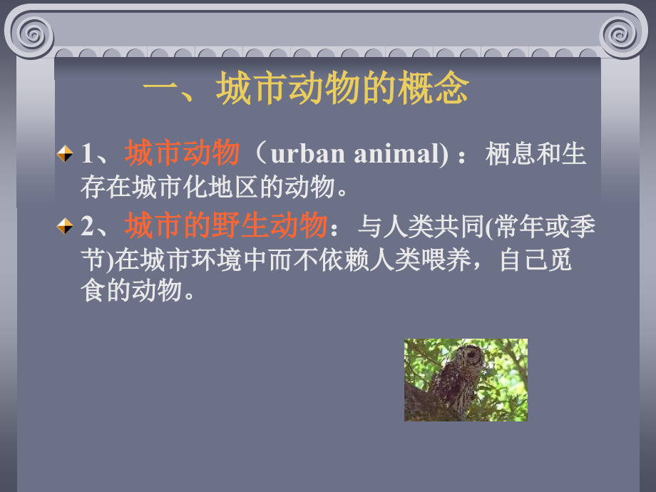 城市生态环境学.ppt_第2页