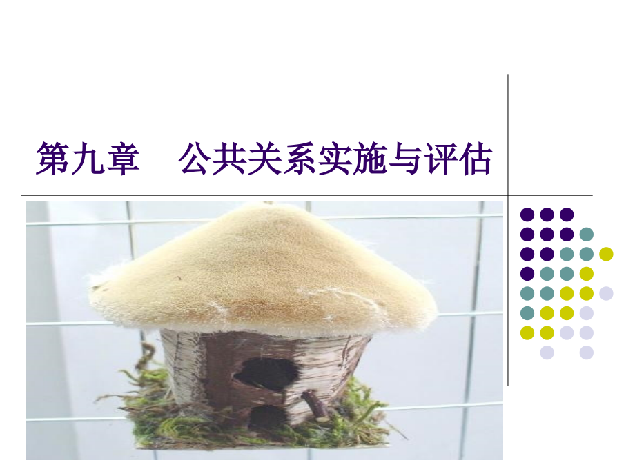 第九章 公共关系实施与评估.ppt_第1页