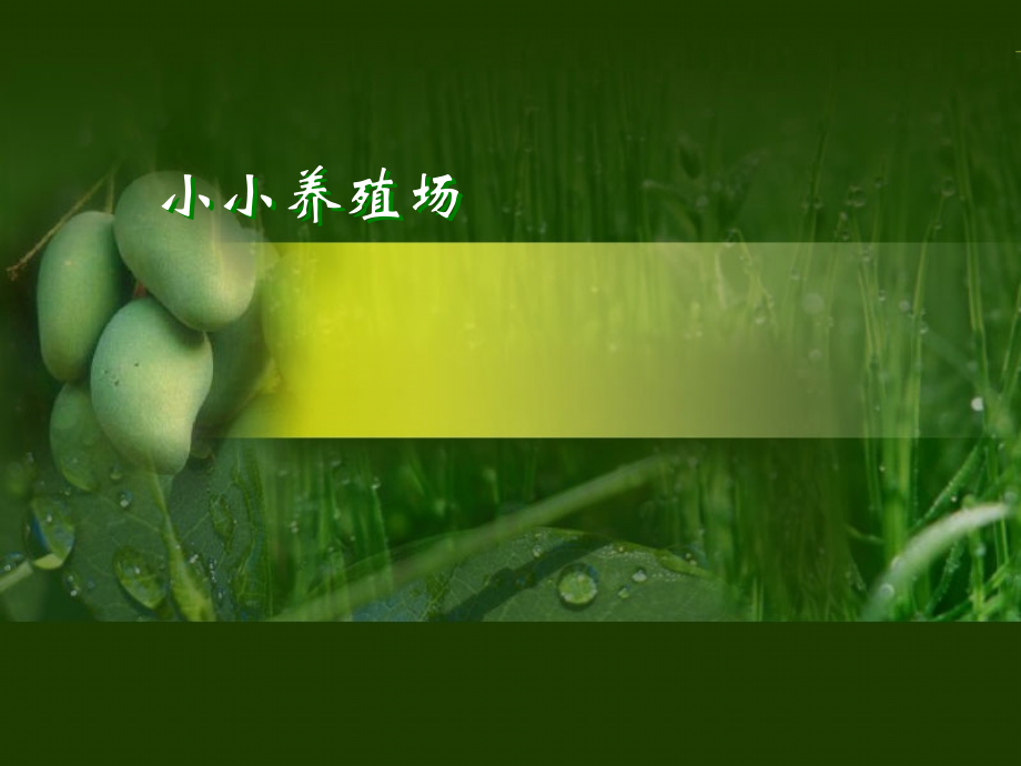 小小养殖场3.ppt_第1页