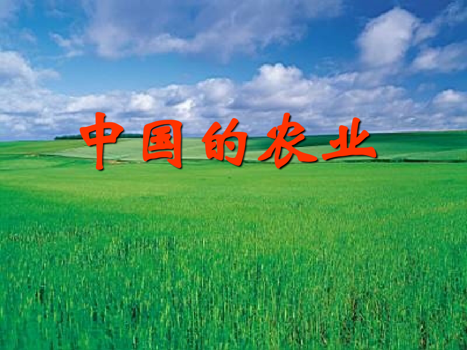 中国的农业11.ppt_第1页