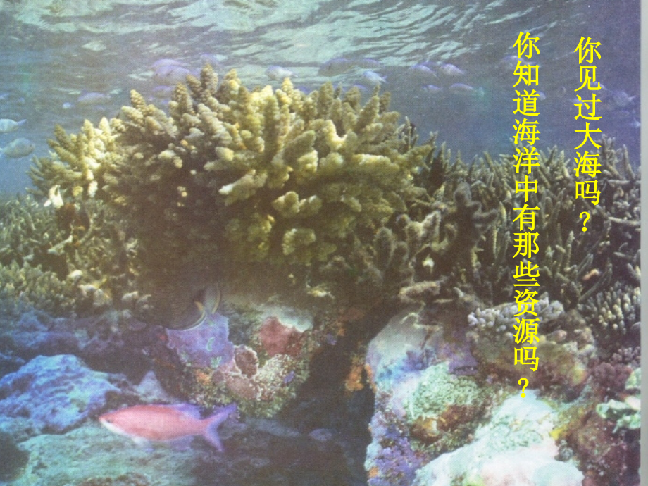 第一节海洋化学资源课件.ppt_第1页