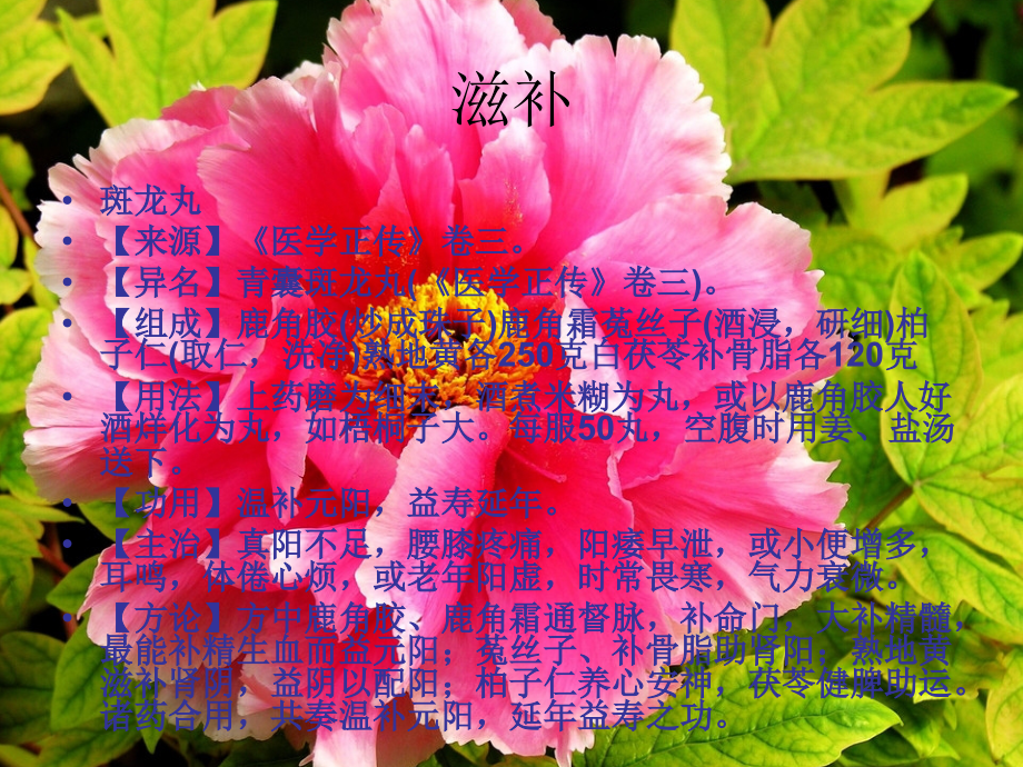 中医偏方秘方大全2.ppt_第2页