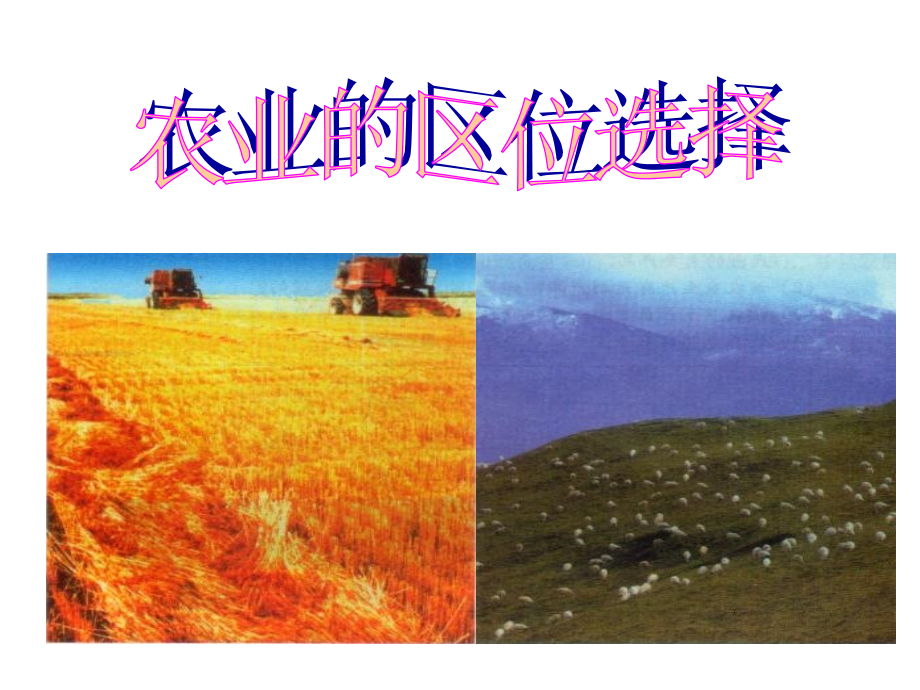 农业的区位选择1.ppt_第1页