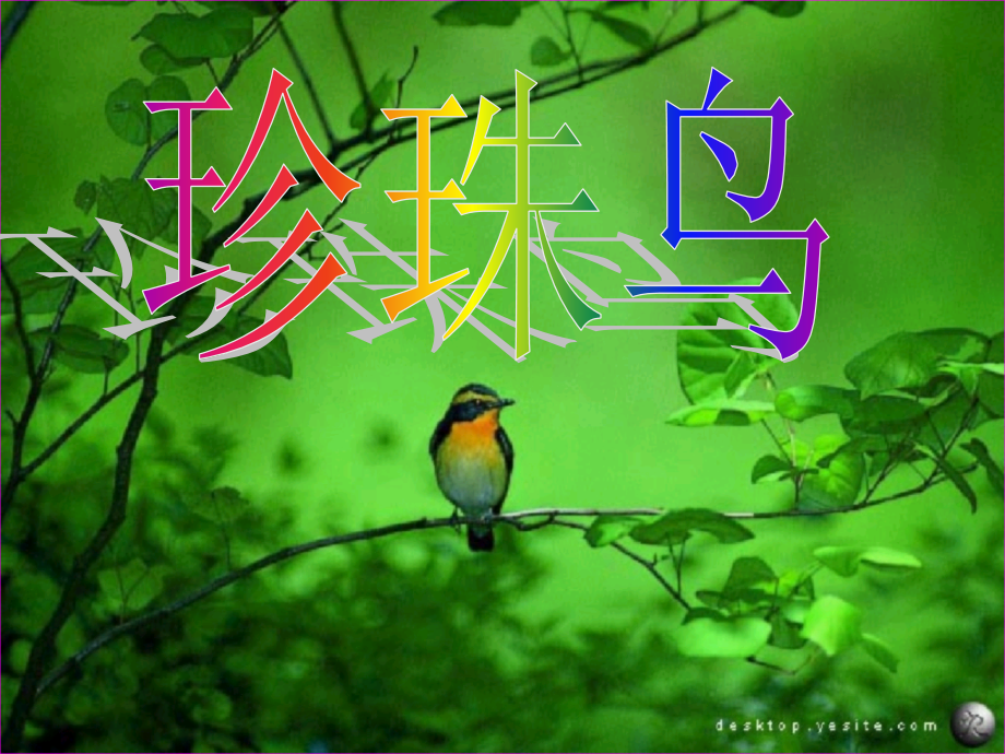 《珍珠鸟》课件2(1).ppt_第1页
