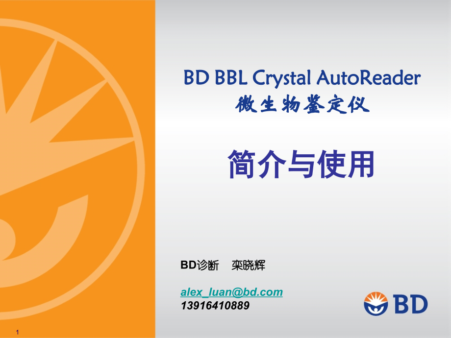 微生物鉴定.ppt_第1页