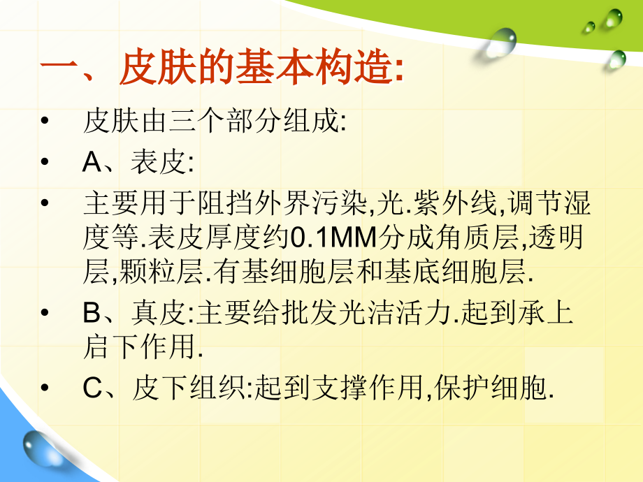美容培训-基础美容.ppt_第2页