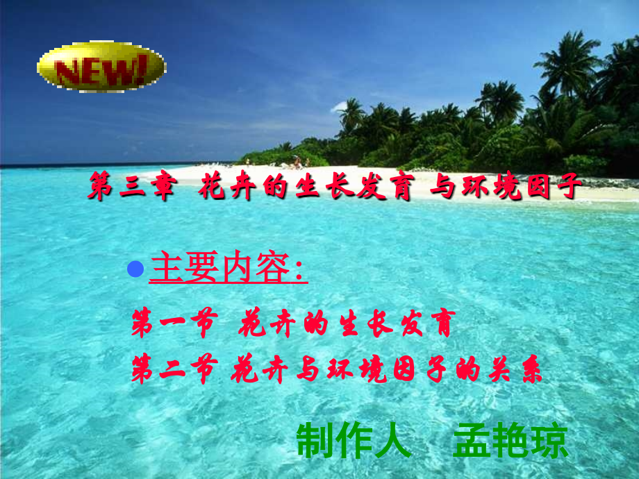 花卉的生长发育.ppt_第1页