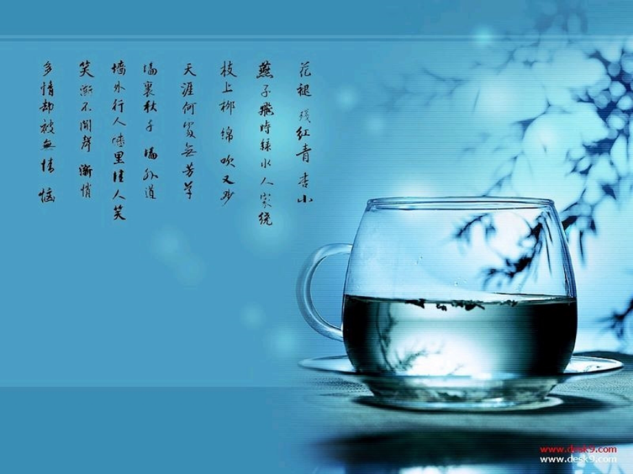 如何写标书.ppt_第1页