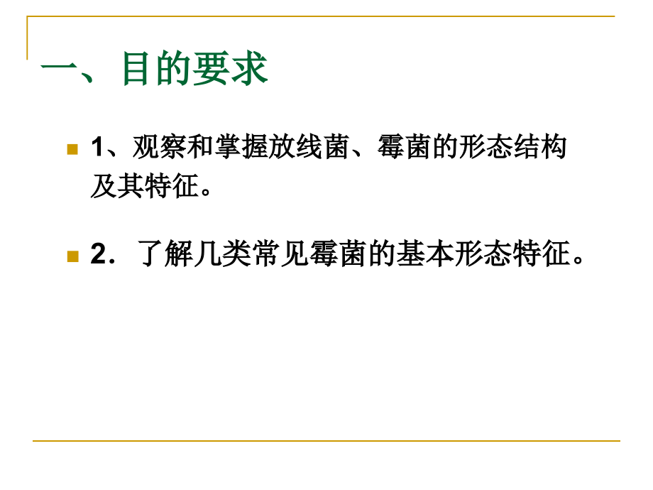 实验五放线菌、霉菌的形态观察.ppt_第2页