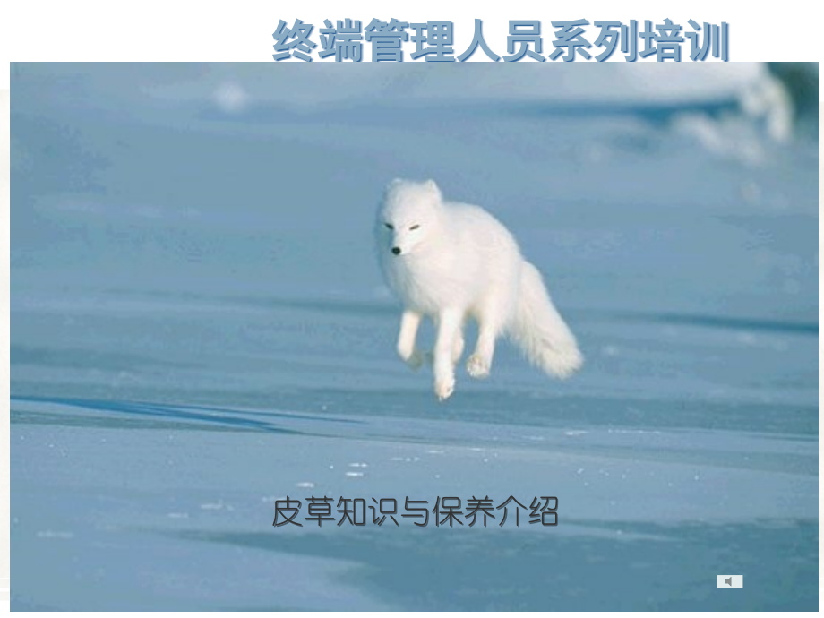 常用皮草知识.ppt_第1页