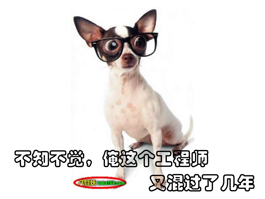工作娱乐年底总结.ppt_第2页