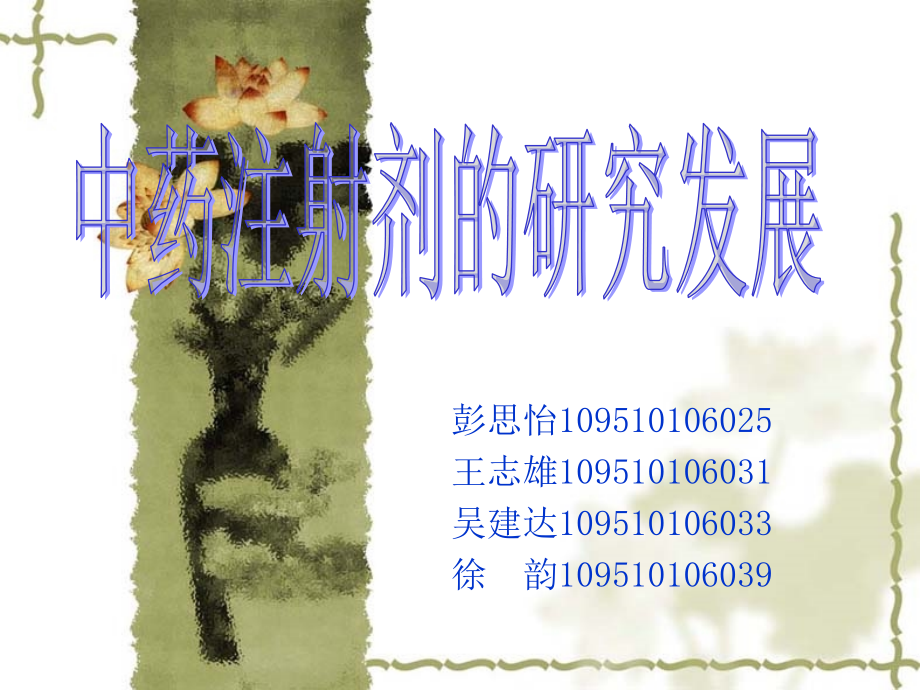 中药注射剂的研究发展.ppt_第1页