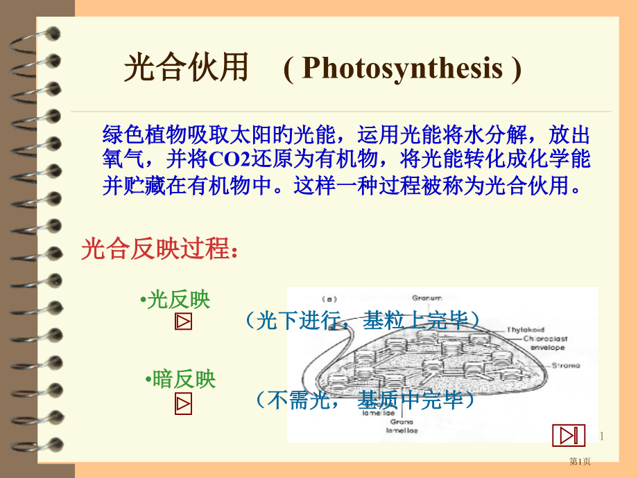 植物生理学呼吸作用.pptx_第1页