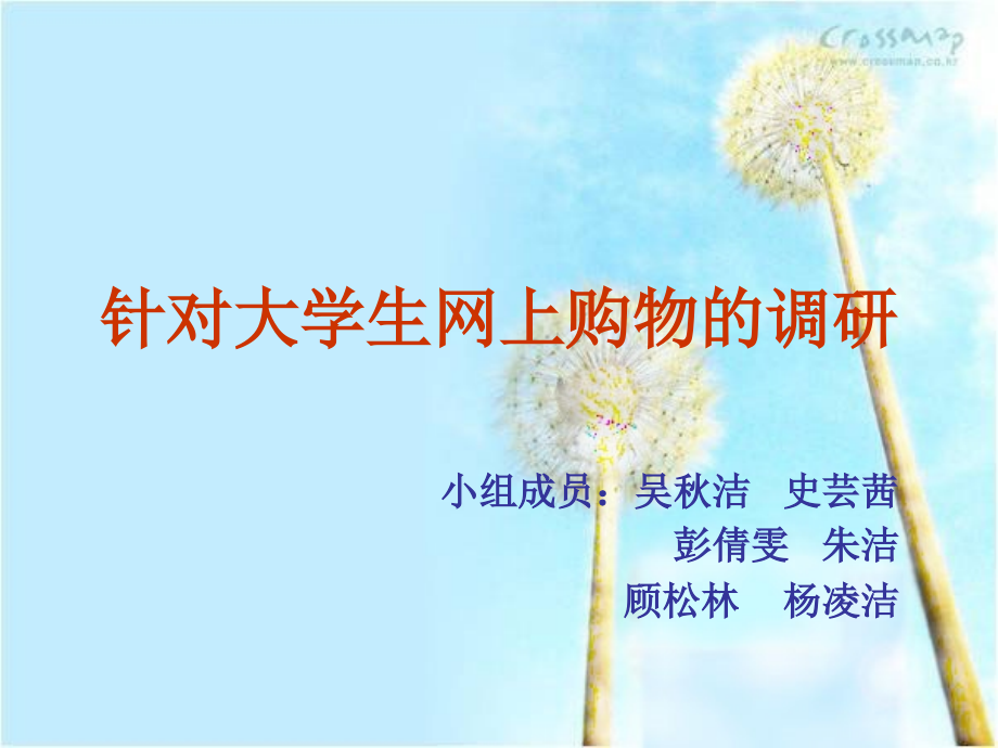 针对大学生网上购物.ppt_第1页