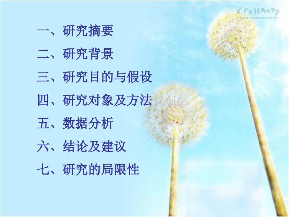 针对大学生网上购物.ppt_第2页