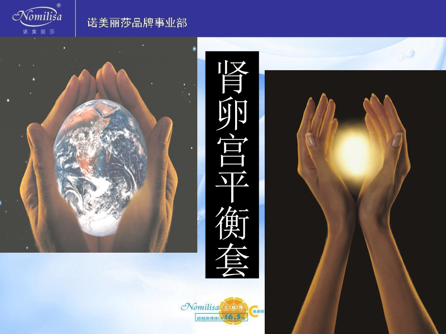 肾卵宫平衡套.ppt_第2页