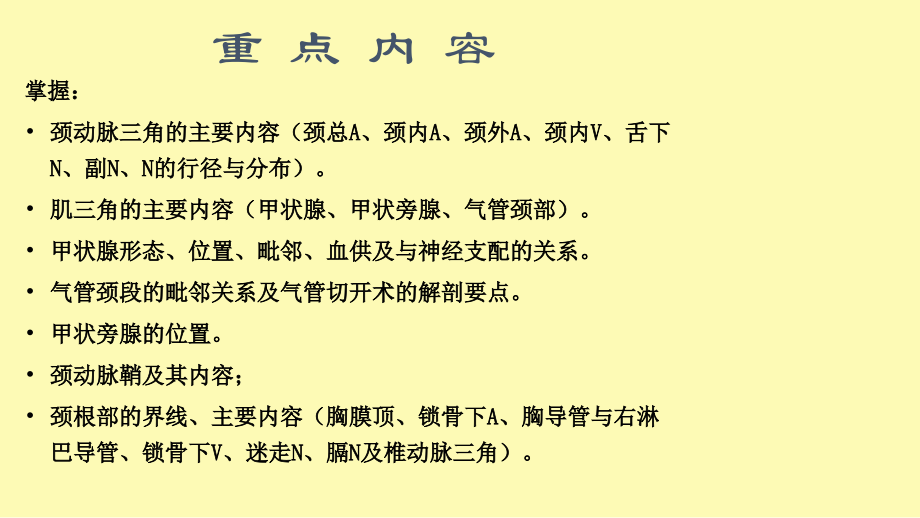 局解---颈部解剖.ppt_第1页