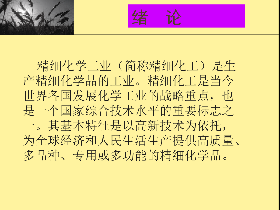 精_细_化_工.ppt_第2页