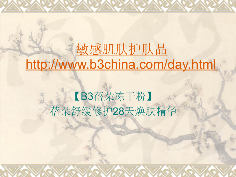 敏感肌肤护肤品.ppt_第1页