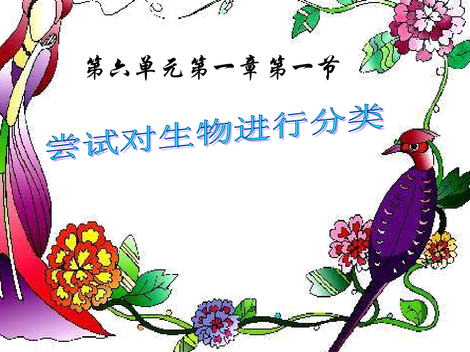 尝试对动物进行分类.ppt_第1页