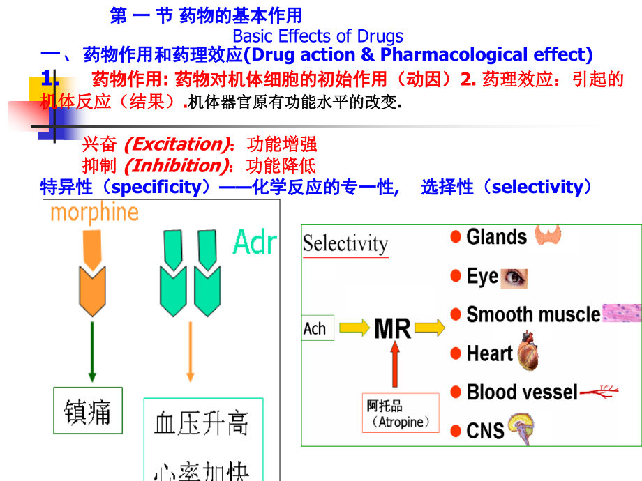 第3章 药物效应动力学.ppt_第2页