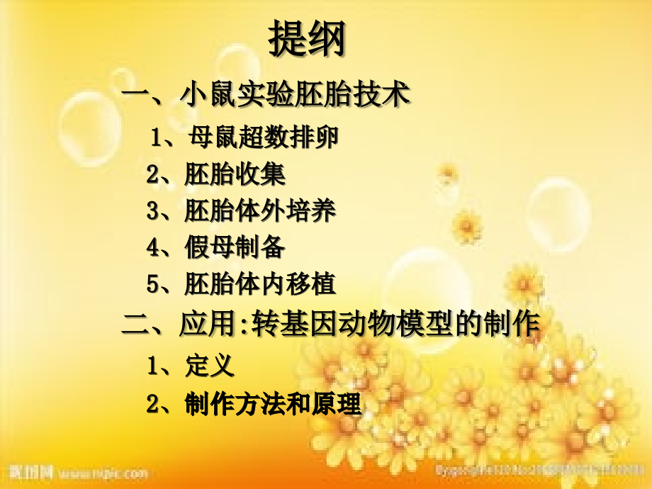 小鼠实验胚胎技术.ppt_第2页