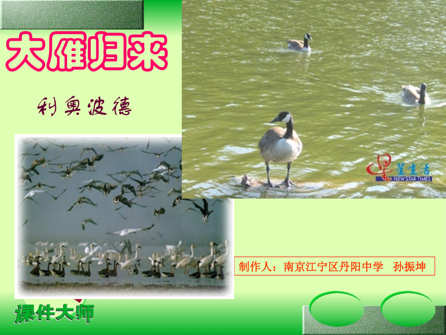 八年级《大雁归来》ppt课件1.ppt_第2页