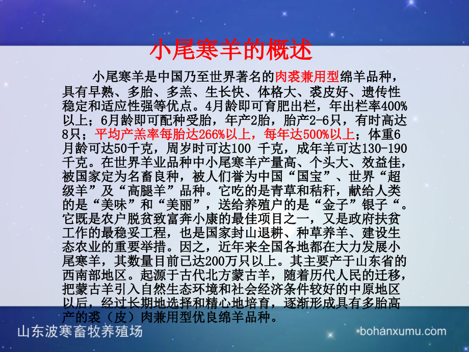 小尾寒羊介绍.ppt_第2页