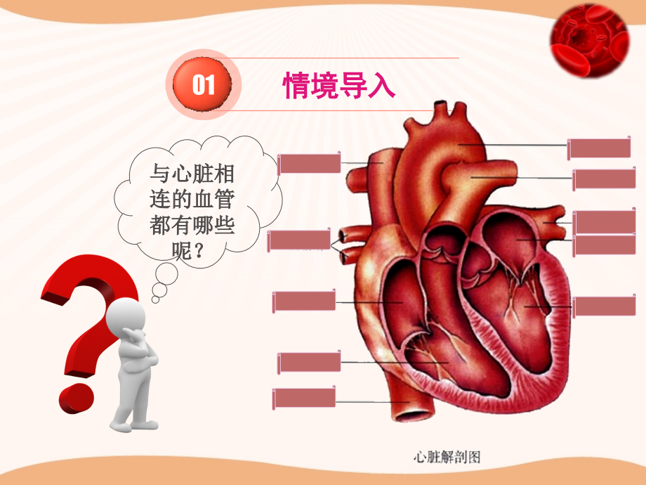 科学家的故事-血液循环的发现-(2).ppt_第1页