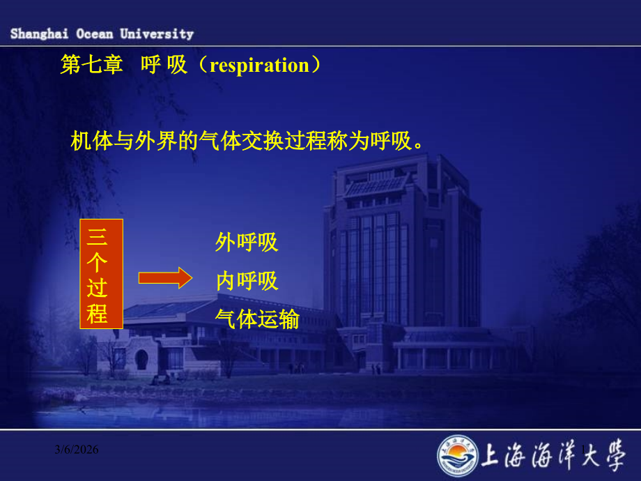 第七章呼吸.ppt_第1页