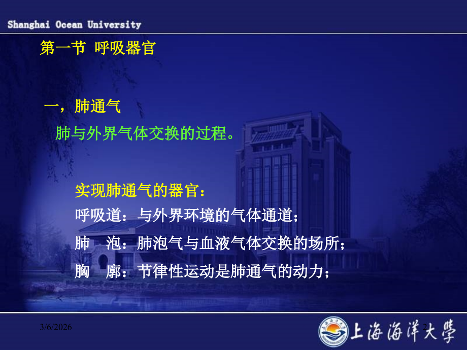 第七章呼吸.ppt_第2页
