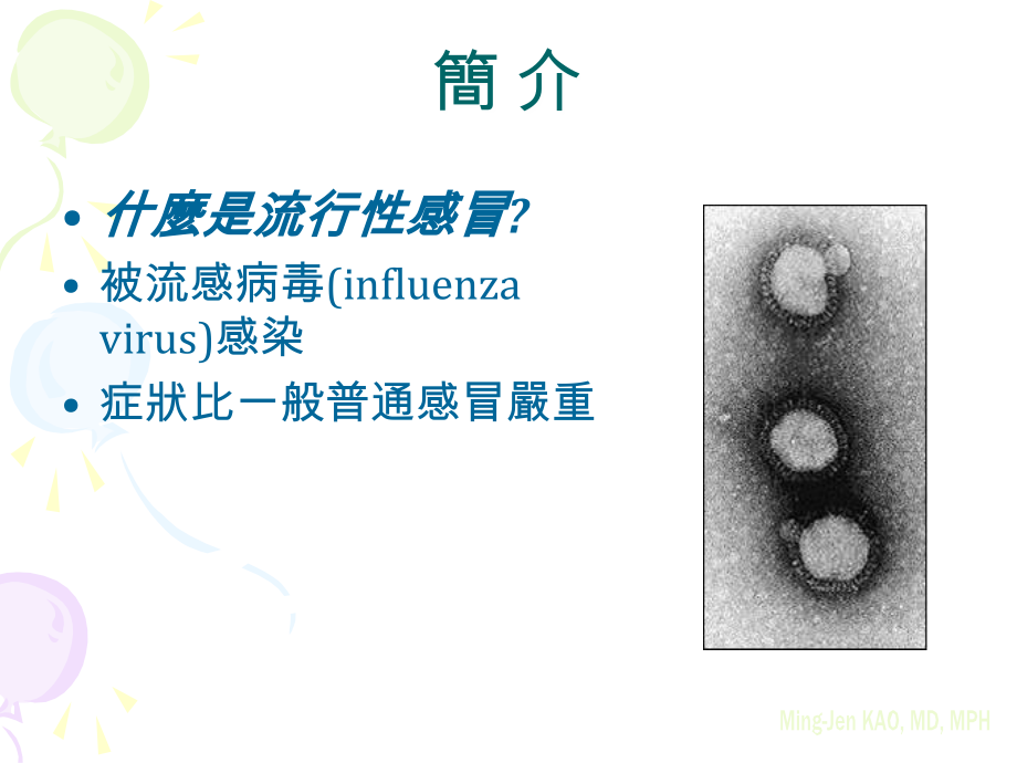 从流感疫苗.ppt_第2页