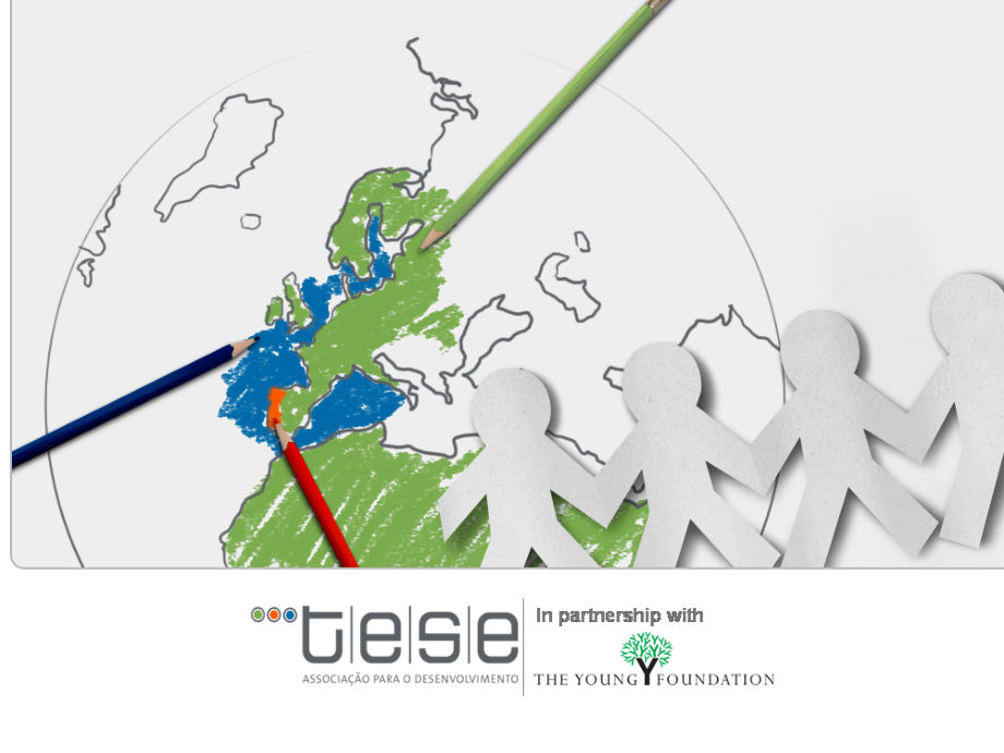 tese网站介绍PPT.ppt_第1页