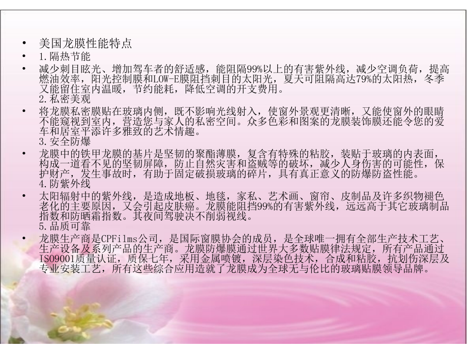 龙膜汽车贴膜.ppt_第2页