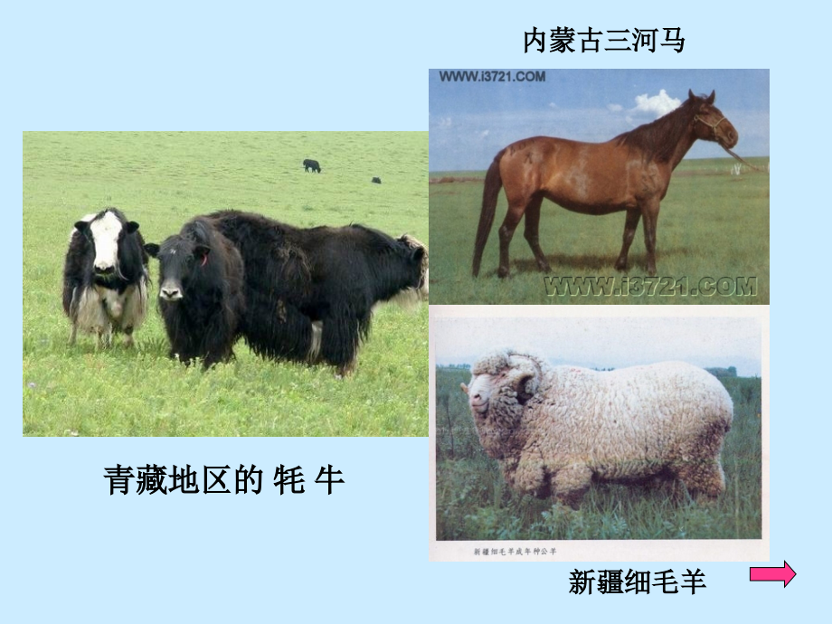 初二复习4册地理.ppt_第2页