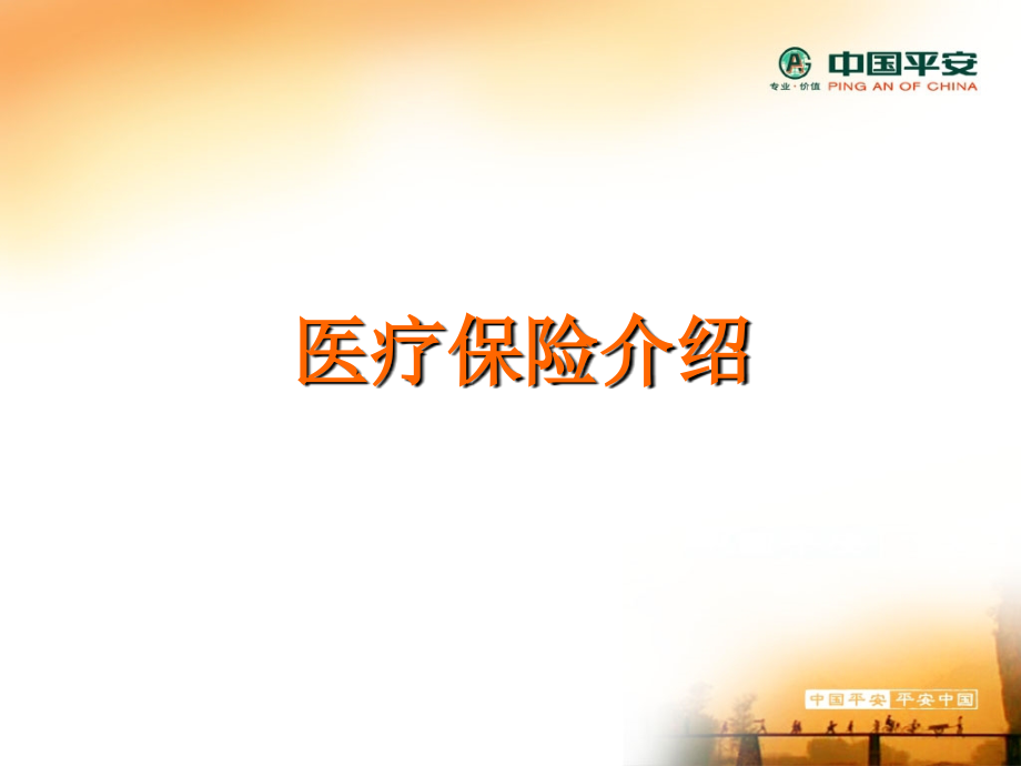 医疗保险介绍.ppt_第1页