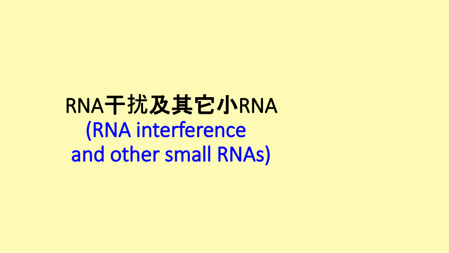 分子生物学第十章RNA干扰及其它小RNA的作用.ppt_第1页
