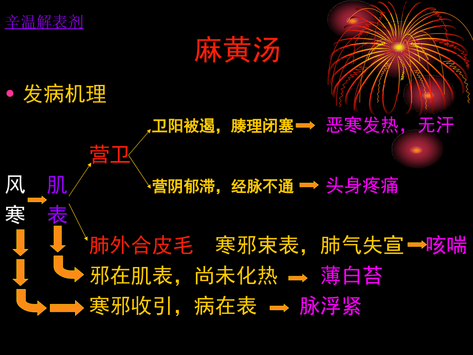 方剂学解表剂.ppt_第2页