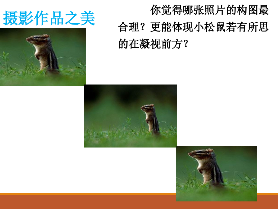 导入-黄金分割.ppt_第2页