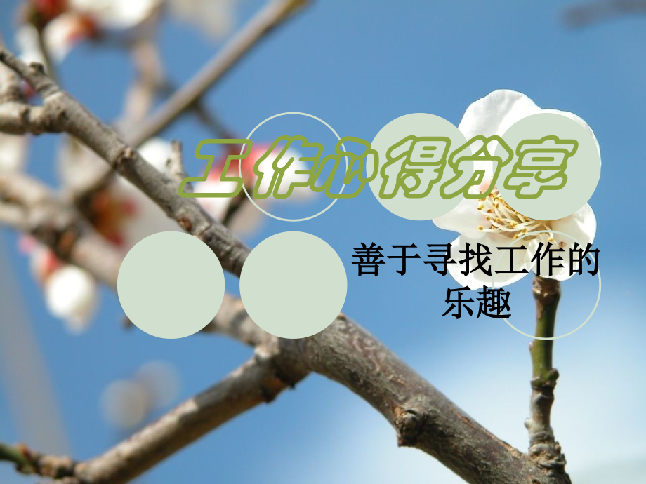 工作心得分享.ppt_第1页