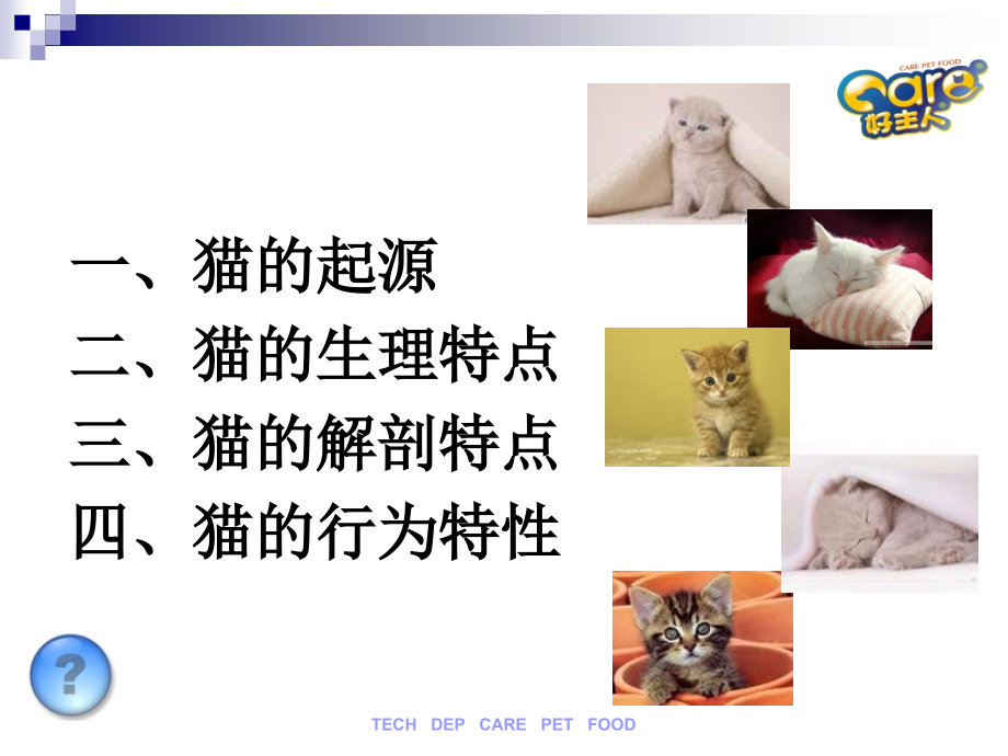 猫的生理学特性.ppt_第2页